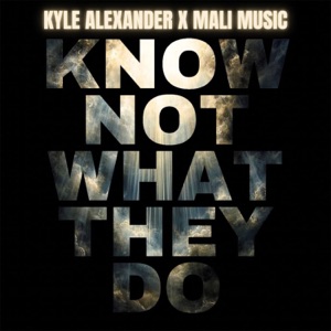 Know Not What They Do (feat. Mali Music)