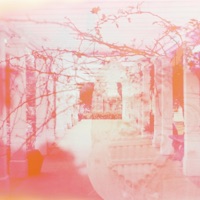 Fuga Mediante - DECIRLO