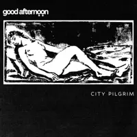 Discoboy — good afternoon