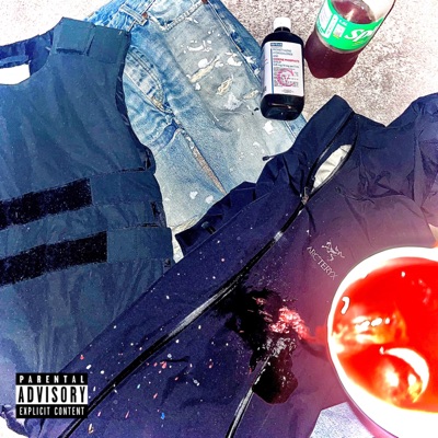 archive lang (feat. Ungedripp) - Single