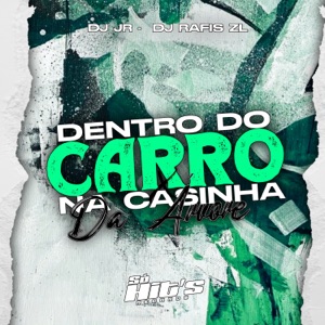 Dentro do Carro na Casinha da Árvore