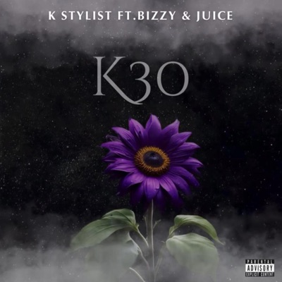 K30 (feat. Bizzy, Juice & Bree) - Single