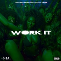 WORK IT (feat. KingWave & Bear) - Single - SpiffyBoyDanny