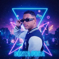 SENTA POCA (feat. MC Ryan SP, MC Meno K, Mc Jacare, DJ Japa NK & Dj Davi DogDog) - Single - DLIMA7