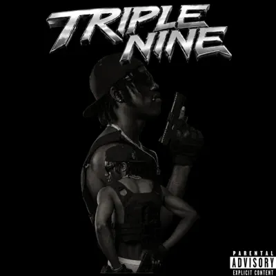 Listen to TRIPLE NINE by ANIMAL 999