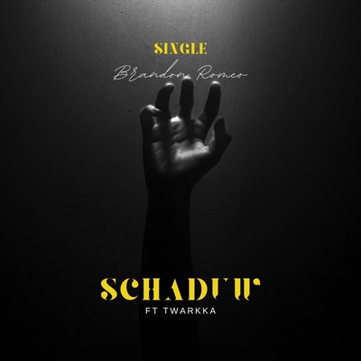Schaduw (feat. Twarkka) - Single