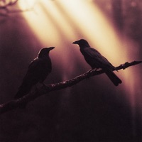 Heaven Or Hell - Single - CROWS