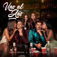 Uno al Año - Single - David reyes & Junior Posada