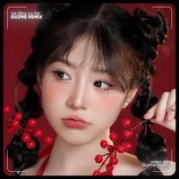 Về Nhà Là Tết (Remix) - Single - Lê Gia Quân & Phát Hồ