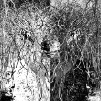 HATE WHEN YOU SAY THAT - Single - SARM?