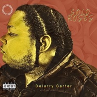 Function - Single - Delarry Carter