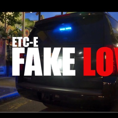 Fake Love - Single
