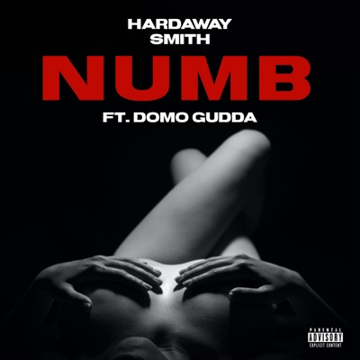 Numb (feat. Domo Gudda) - Single