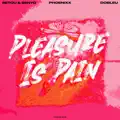 Pleasure Is Pain