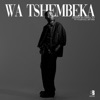 Wa Tshembeka (feat. Tyler ICU & Jay Sax) cover art
