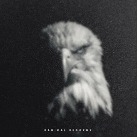 Eagle Eye Enmith Trejo