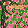 Lady Lizard Eyes