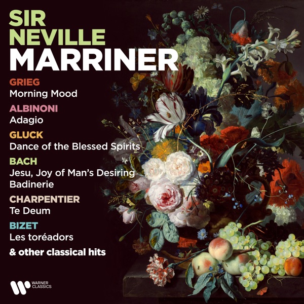 Grieg: Morning Mood - Albinoni: Adagio - Gluck: Dance of the Blessed Spirits - Bach: Jesu, Joy of Man's Desiring & Badinerie & Other Classical Hits
