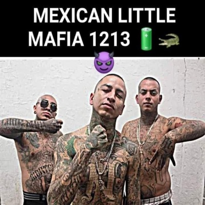 Si Me Tumban Me Levanto (feat. Slow (Mexican Little Mafia) & Araña (Mexican Little Mafia)) - Single
