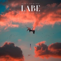 Labe (Radio Edit) - Single - Xavi & Ferchu