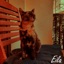 Eila - Single