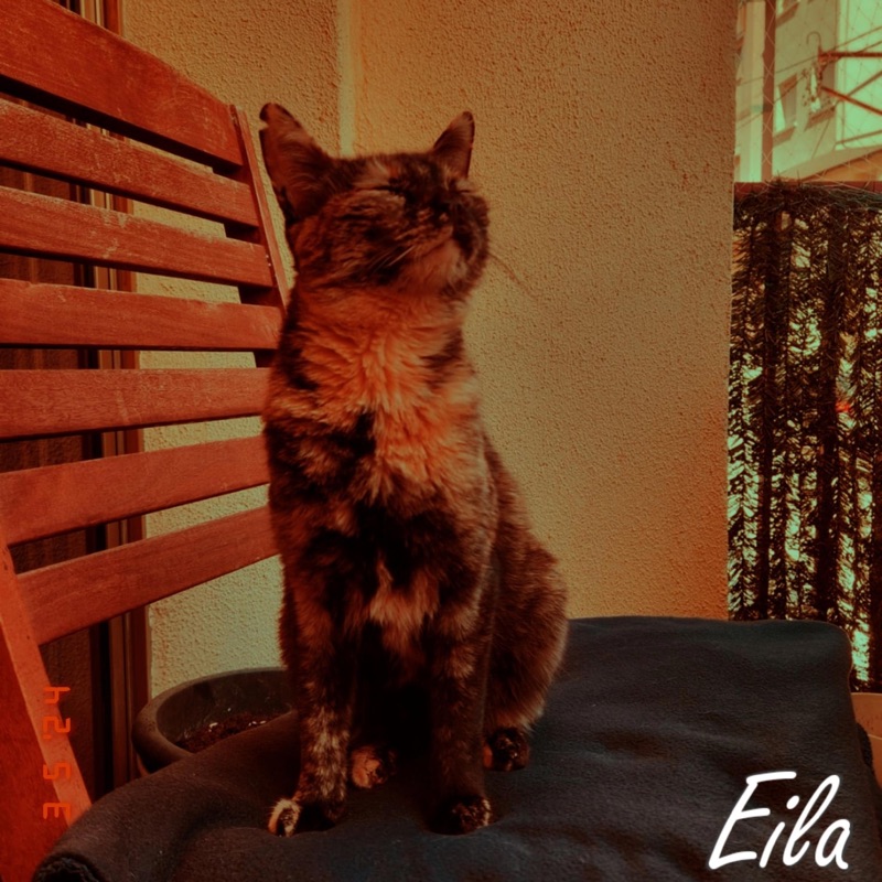Eila - Single