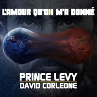 L'amour qu'on m'a donné - Single - Prince Levy & David Corleone