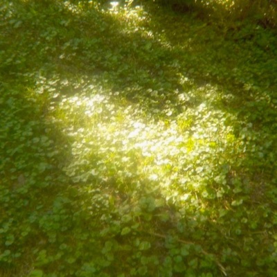 warum fühlt sich sommer an wie herbst - Single