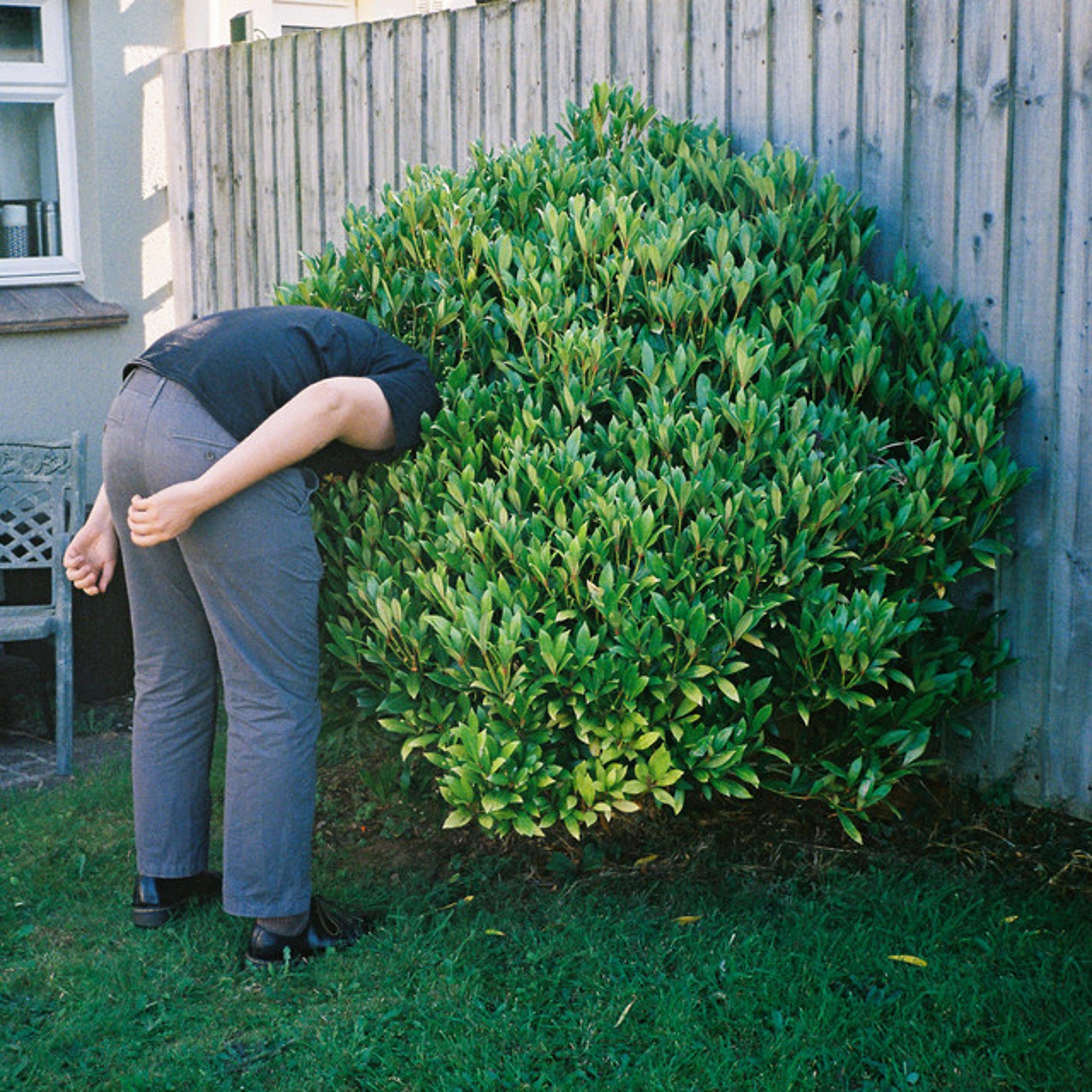 Dog Dribble - Single