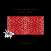 Strawberry Fields - Single - Drow$y