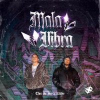 Mala Vibra - Single - This Is Joy