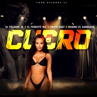 Cuero - Single - El Peluche 42, EL PERROTE WZ, Marino El Abusador & Choco Baby