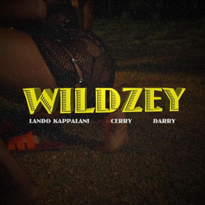 Wildzey (feat. Cerry & Darry) - Single