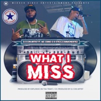 WHAT I MISS (feat. CRAIG G & ST1CCZ DIAMONDEYEZ) - Single - DJ CON ARTIST