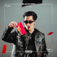 ใบดำ - Single - CDGUNTEE