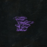 Nachpit - Single - Soppgirobygget