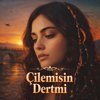 RYNO - &Ccedil;İLEMİSİN DERTMİ artwork