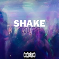 Shake Sum - Single - Hypecmoney
