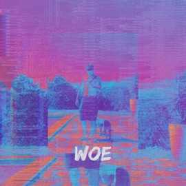 WOE Vander