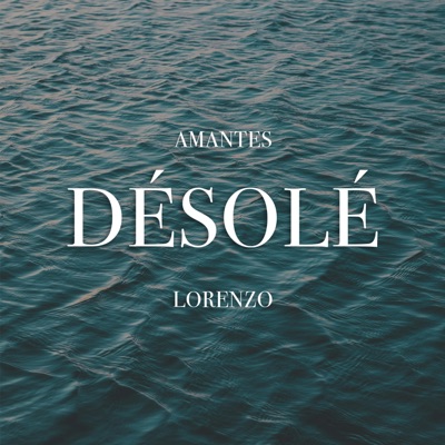 Désolé - Single