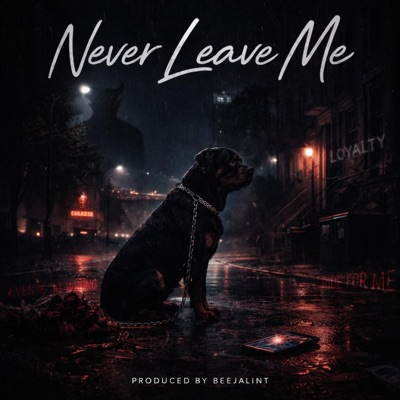 Never Leave Me - Single