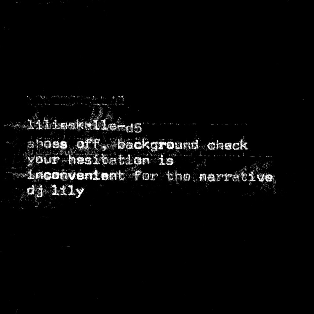 Обложка альбома «Shoes off, Background Check, Your Hesitation Is Inconvenient for the Narrative - Single» — DJ Lily