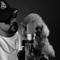 Thriller Freestyle - Single - Gill Graff