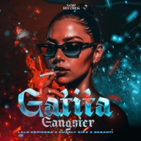 Gatita Gangter - Single - Lalo Espinosaa
