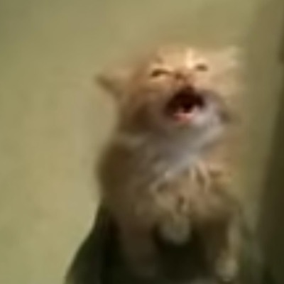 feelings (feat. blame.eddie) - Single