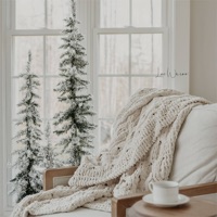 December Snowy Time - Lee Warne