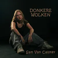 Sam van Calster — Donkere wolken