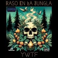 YWTF - Single - Raso en la Jungla