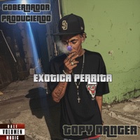 Exotica Perrita - Single - Gobernador Produciendo & Topy Danger