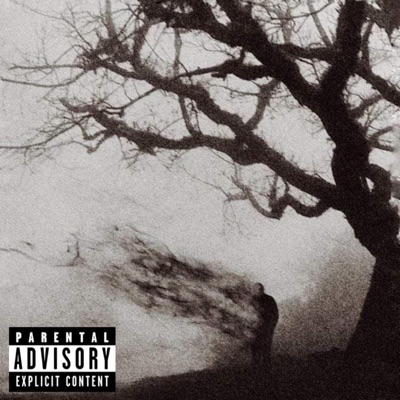 FUCK HOW THEY FEEL (feat. Wise 1) - Single